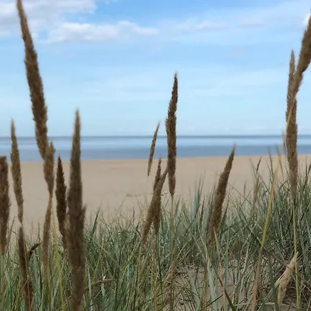 Bursztynowa 22 * Mikoszewo