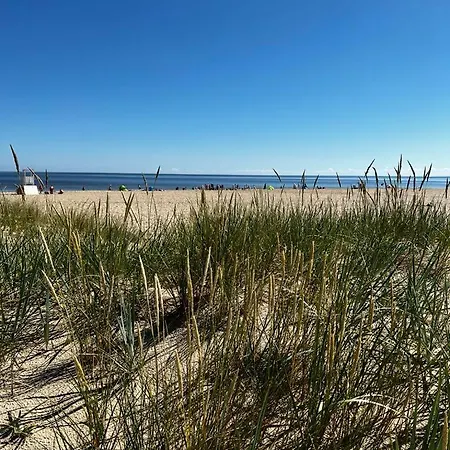 Bursztynowa 22 Lodge