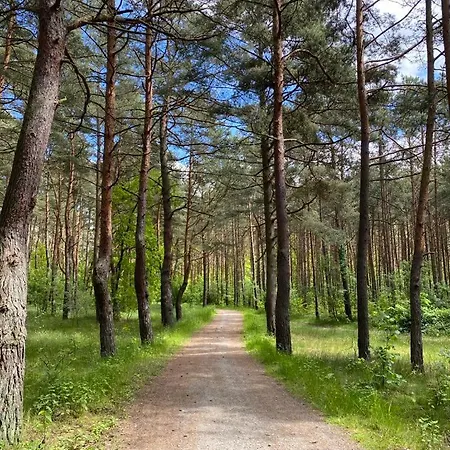 Lodge Bursztynowa 22