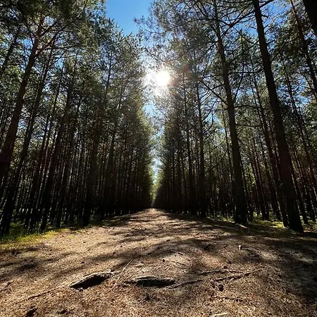 Bursztynowa 22 ロッジ ミコシェボ