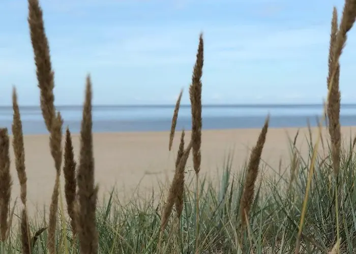 Bursztynowa 22 * Mikoszewo