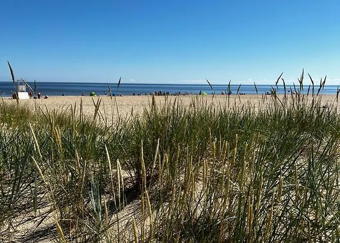 Bursztynowa 22 Chata