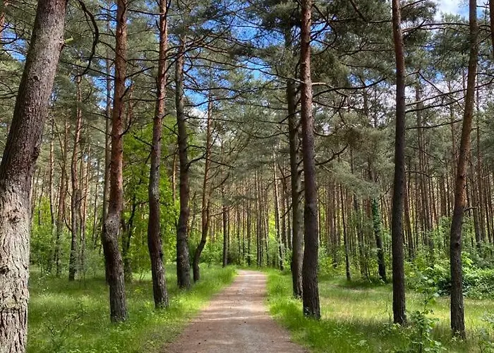 Domek letniskowy Bursztynowa 22