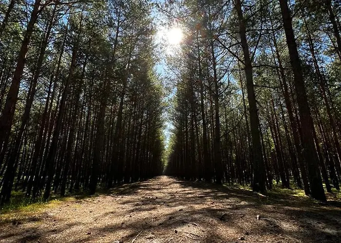 Bursztynowa 22 Domek letniskowy Mikoszewo